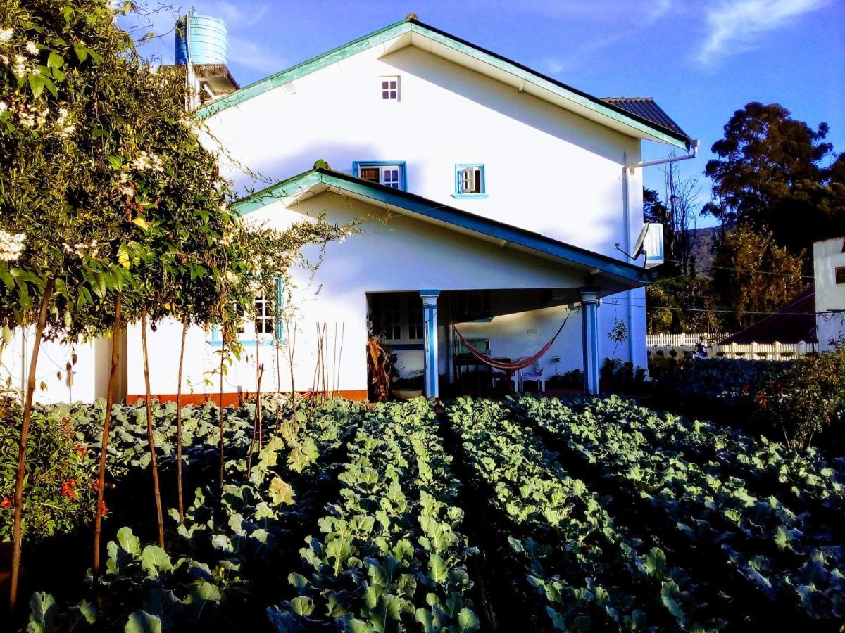 Vibe Way Hotel Nuwara Eliya Exterior photo